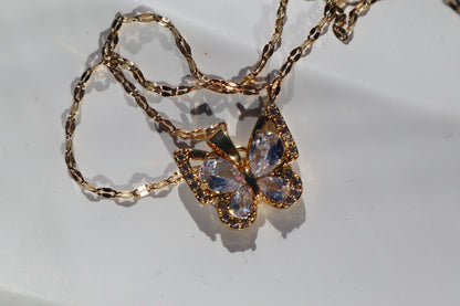 BUTTERFLY SET